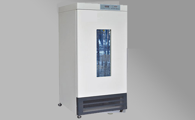 Image hover effect image