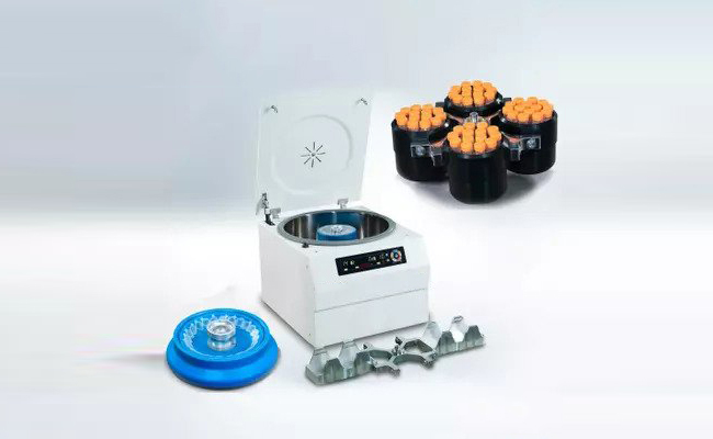 Image hover effect image